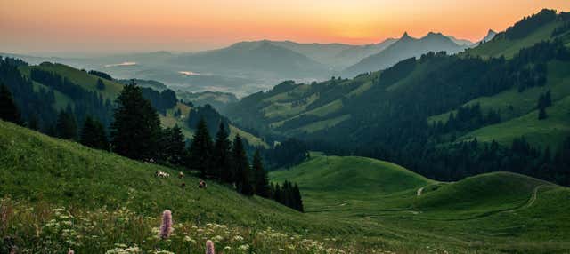 Excursión a Gruyères