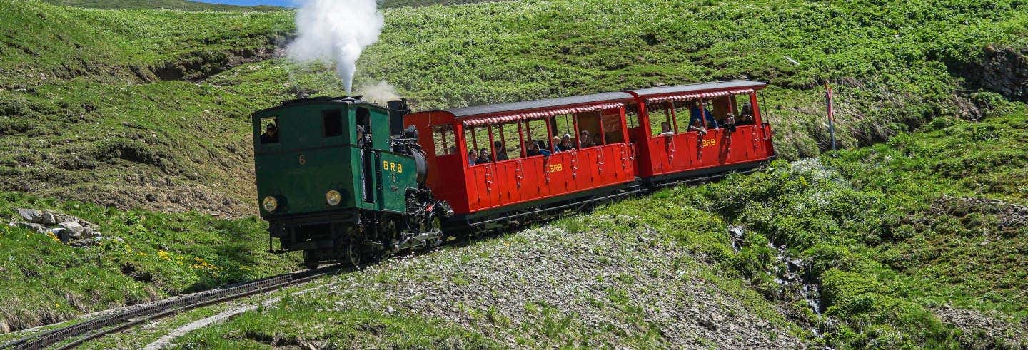Aare Gorge + Brienz Rothorn Train Day Trip
