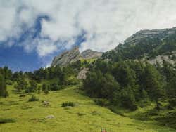 Bosque del Monte Pilatus