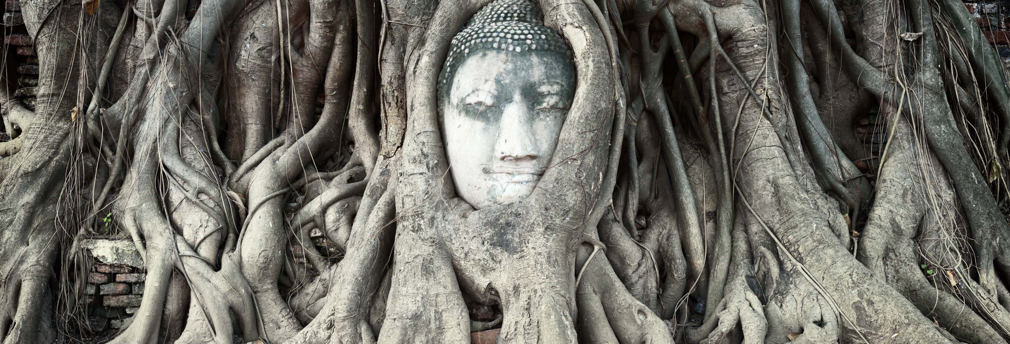 Crucero Thanatharee de 2 o 3 días por Ayutthaya desde Bangkok