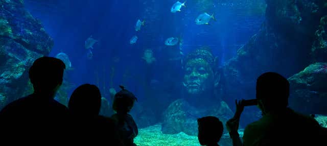Biglietti per il SEA LIFE® Bangkok