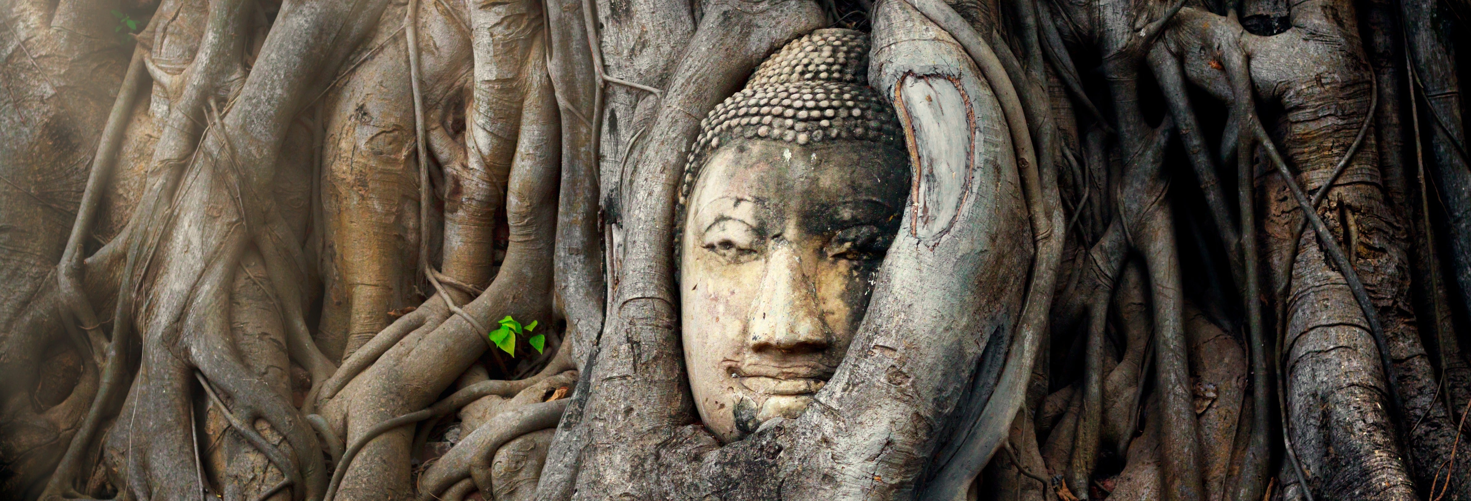 Excursion aux marchés et aux ruines d'Ayutthaya