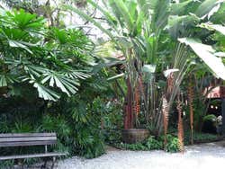 The gardens of Jim Thompson House