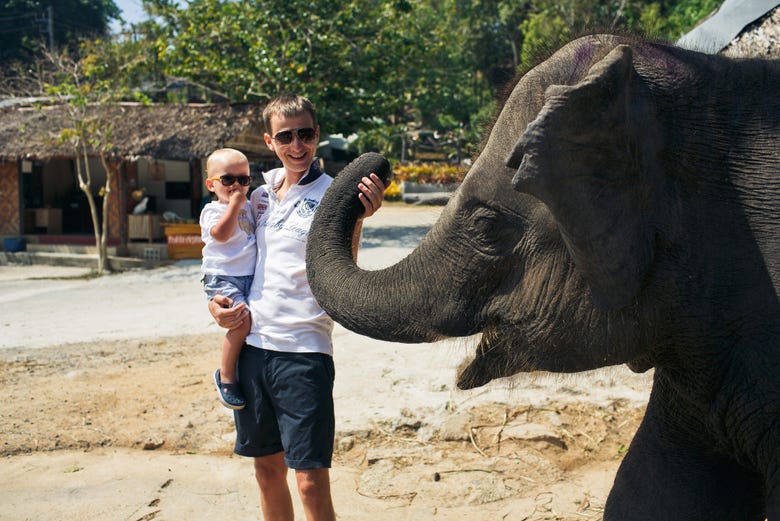 Disfrutando con los elefantes en familia