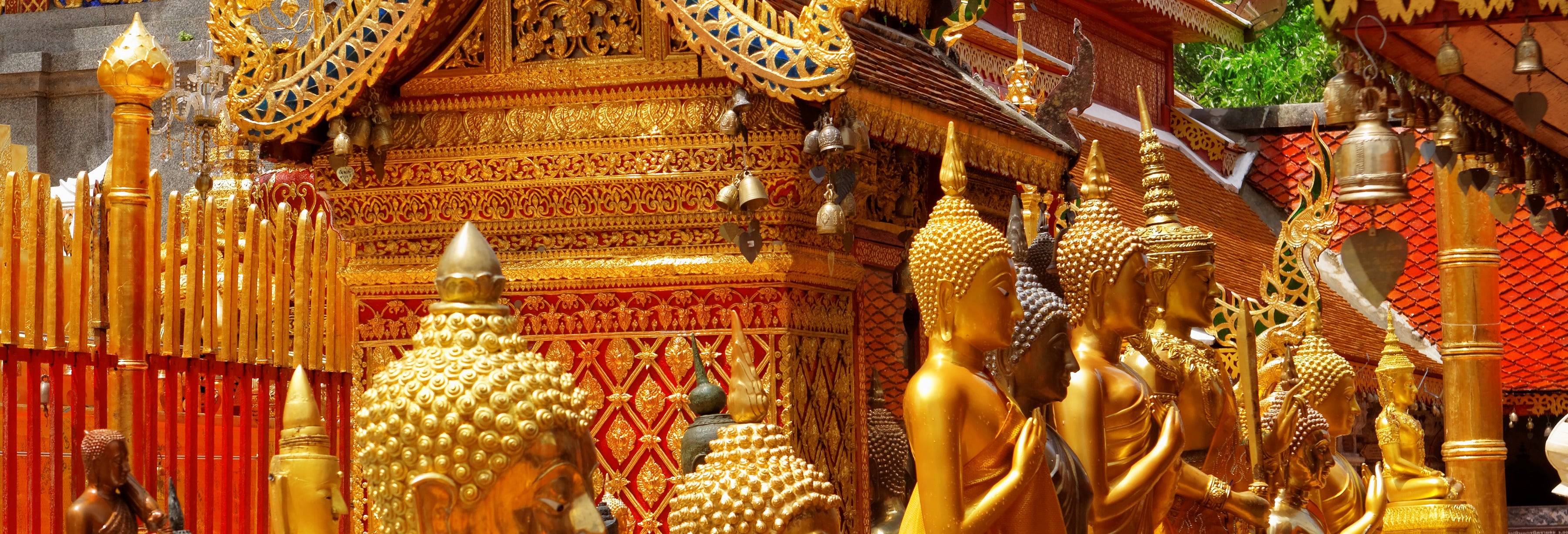 Tour privado por Doi Suthep e Wat Pha Lat