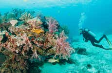 Buceo en el barco hundido de Bangsak