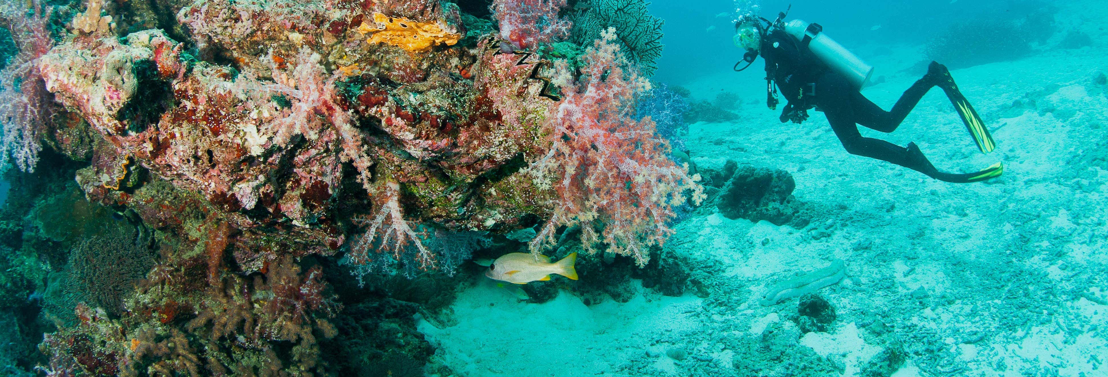Buceo en el barco hundido de Bangsak