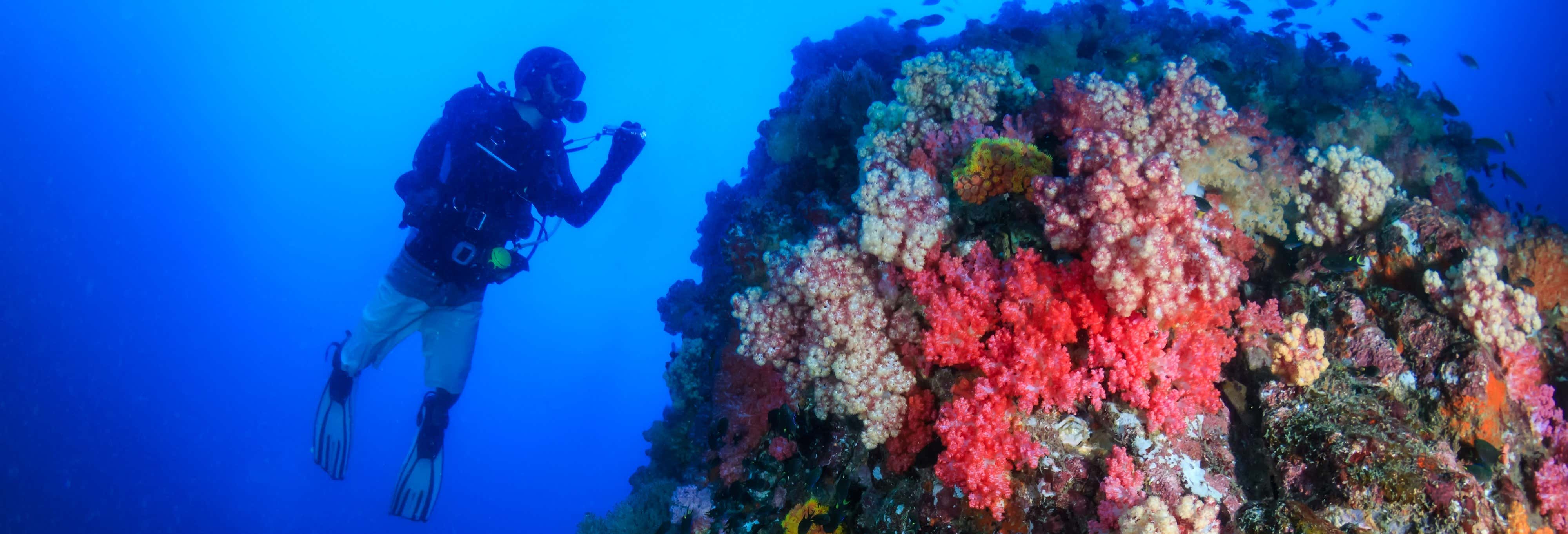 Curso de buceo PADI Open Water desde Koh Kut