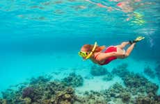 Snorkeling a Koh Kut