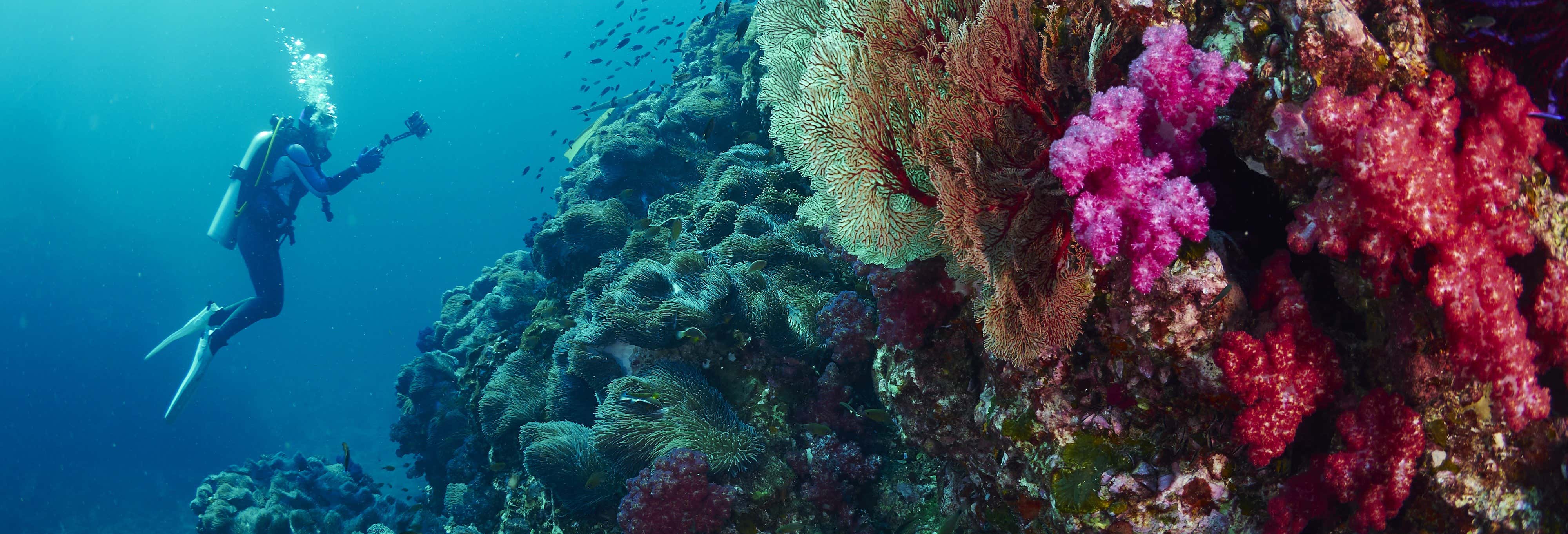 Curso de buceo PADI Open Water desde Koh Mak