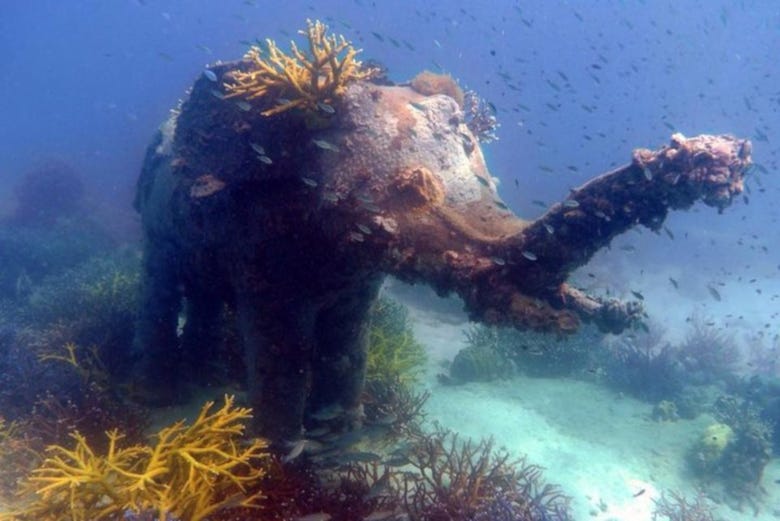 Elefante nas águas de Koh Kood