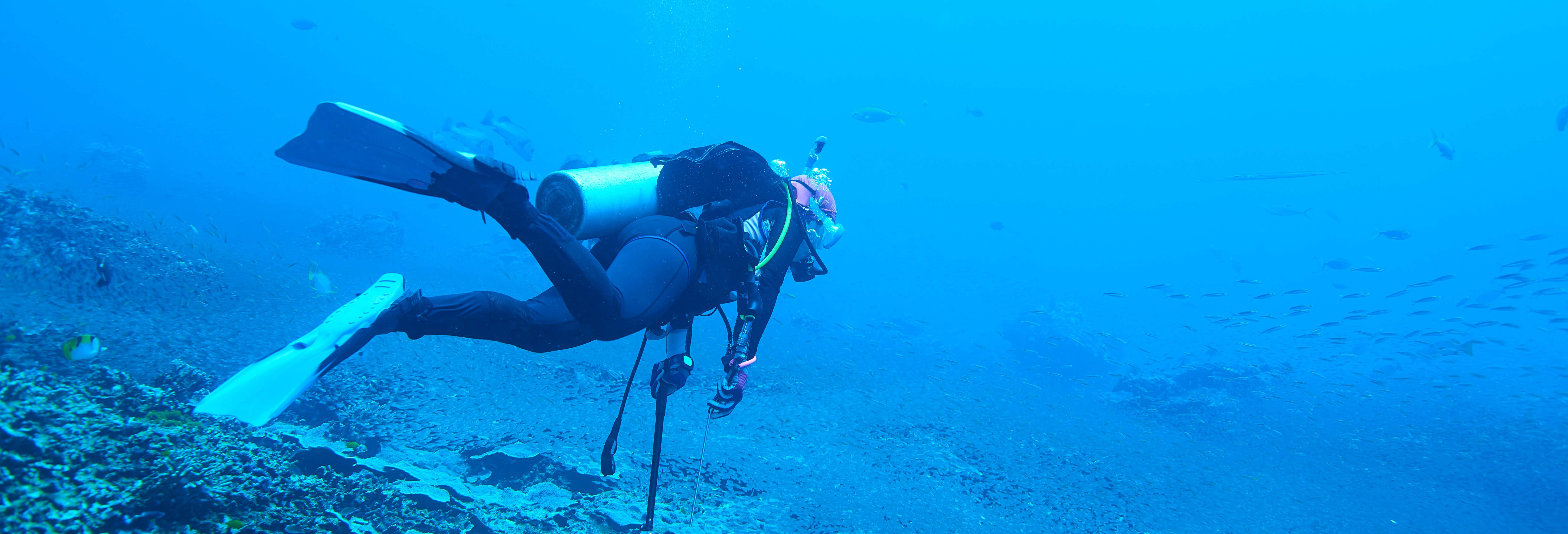 Buceo en Sail Rock desde Koh Samui
