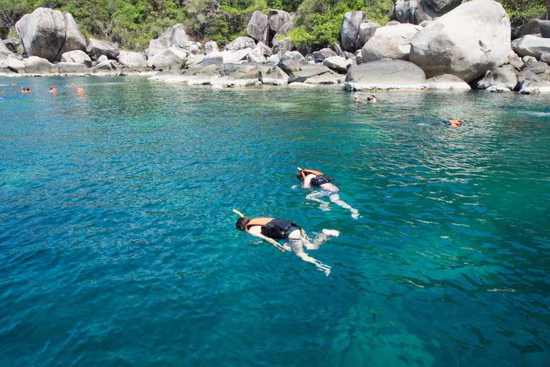 Snorkeling à Koh Tao depuis Koh Samui