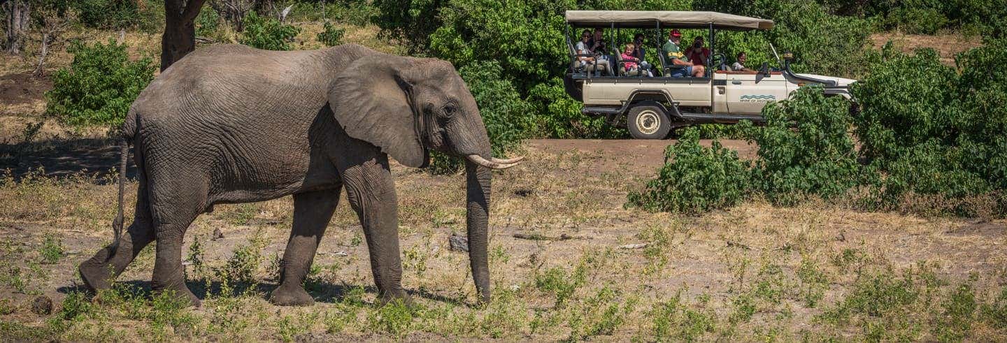 Tour por Koh Samui en 4x4 y paseo en elefante