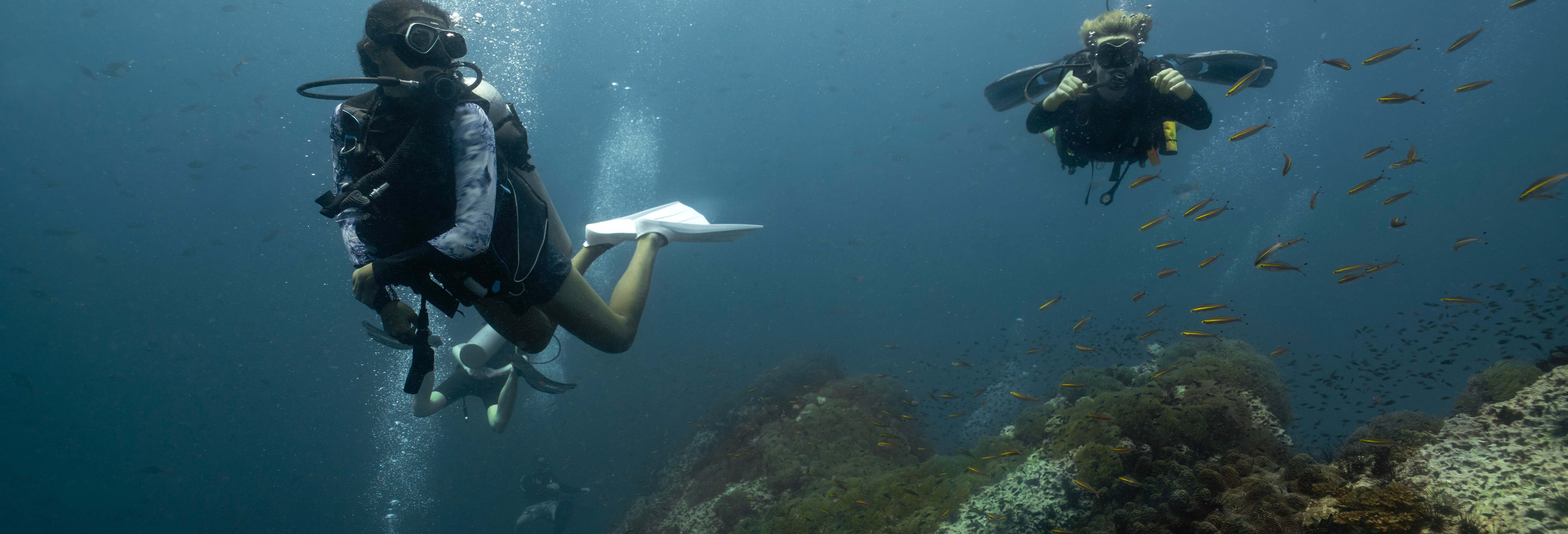 Buceo en Sail Rock desde Koh Tao