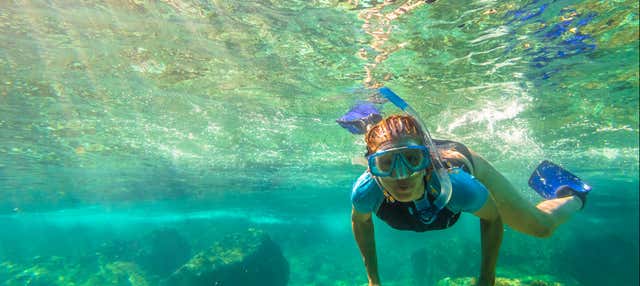 Snorkeling a Ko Tao