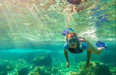 Snorkeling a Ko Tao