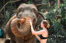 Excursão ao santuário de elefantes de Ao Nang