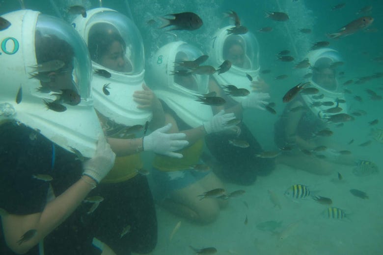 Practica seawalker rodeado de peces