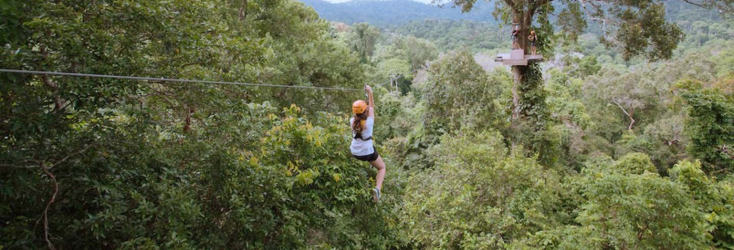 Tour de aventura en Flight of the Gibbon desde Pattaya