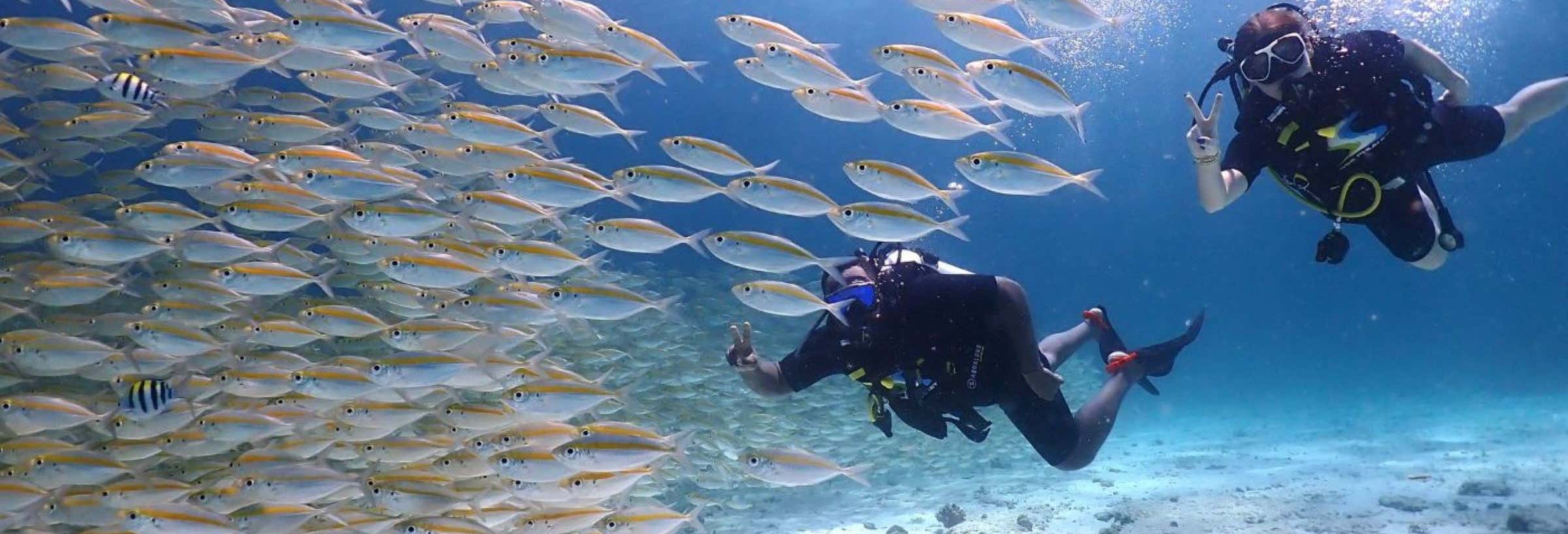 Buceo en la isla de Racha Yai desde Phuket