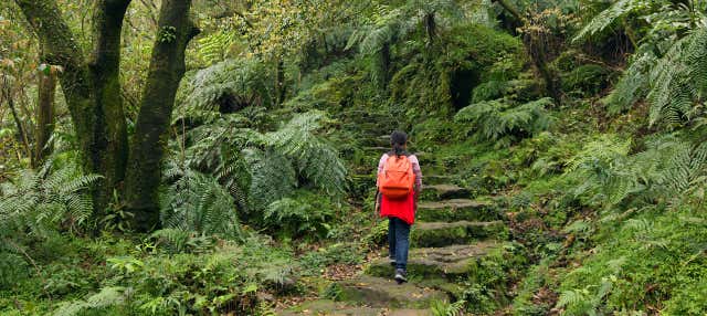 Yanmingshan National Park Tour