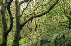 Excursion au Parc national de Yangmingshan