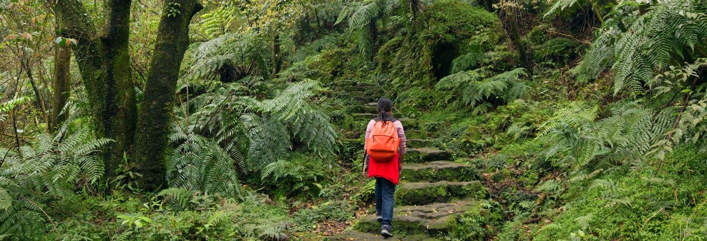 Escursione al Parco Nazionale di Yangmingshan