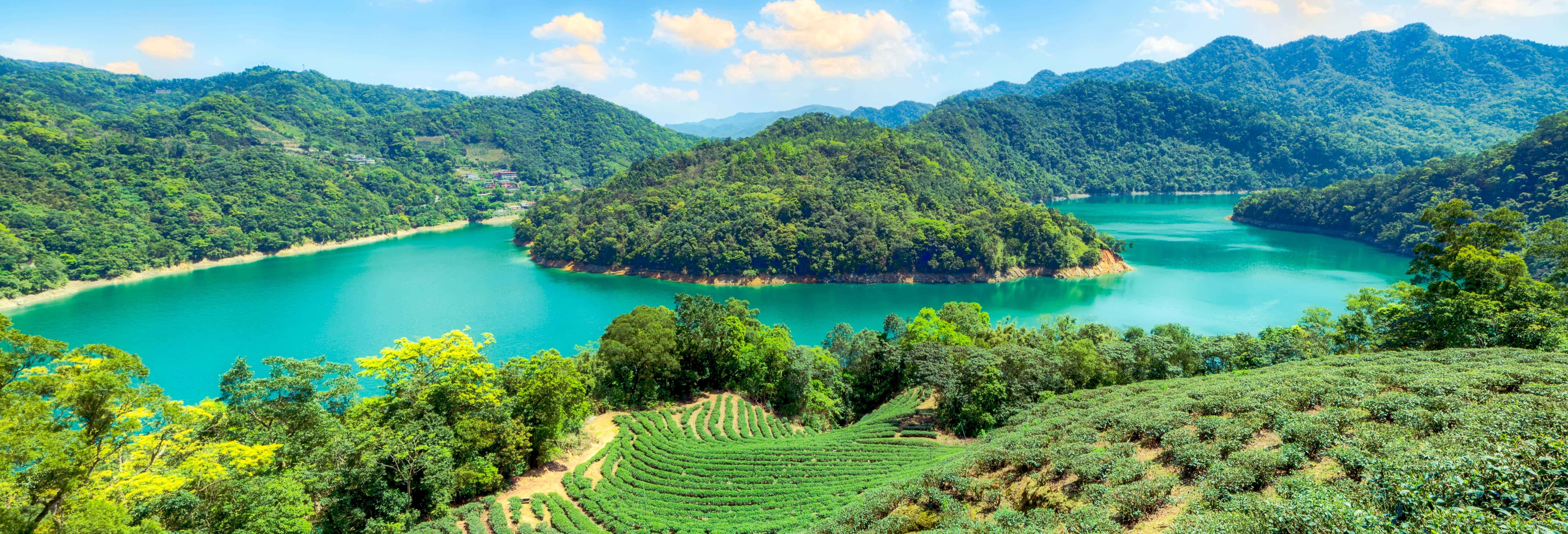 Tour del té por Pinglin