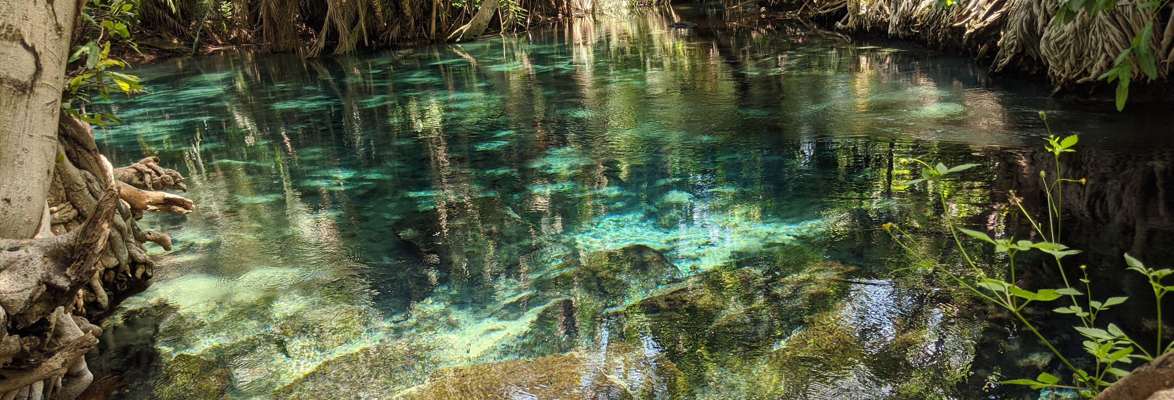 Excursión a las aguas termales de Kikuletwa