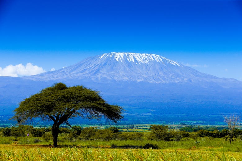 Kilimanjaro, la montañana má salta de África