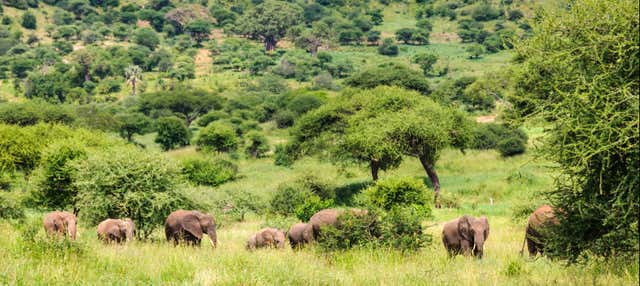 Safari de 6 jours au nord de la Tanzanie