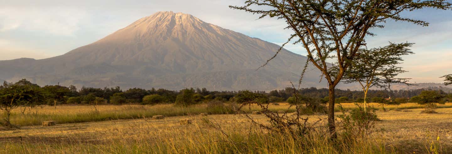 Safari por el Parque Nacional de Arusha