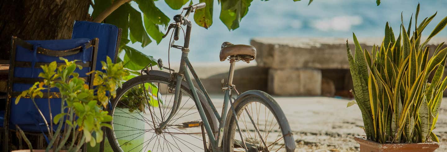 Tour en bicicleta por Stone Town