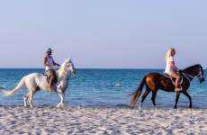 Horse Riding in Djerba Lagoon