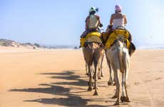Giro in cammello nella Laguna di Djerba