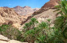 Excursion à Chebika, Tamerza et Midès
