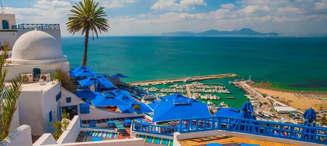 Excursión a Túnez, Cartago y Sidi Bou Said