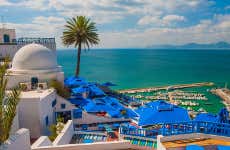 Excursión privada a Túnez, Cartago y Sidi Bou Said