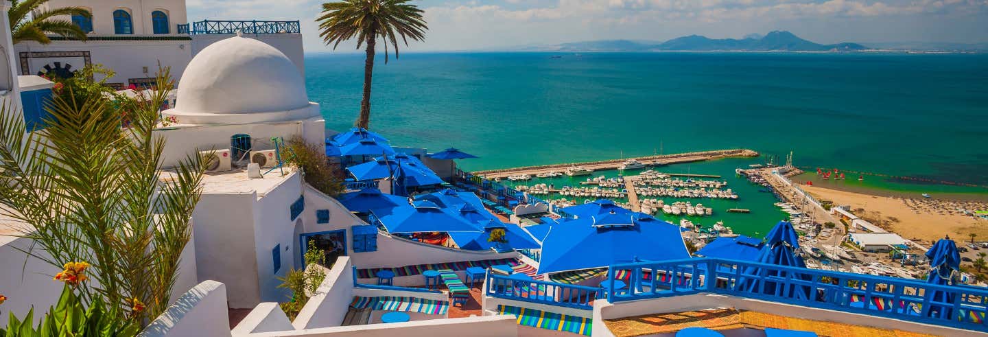 Excursión a Túnez, Cartago y Sidi Bou Said