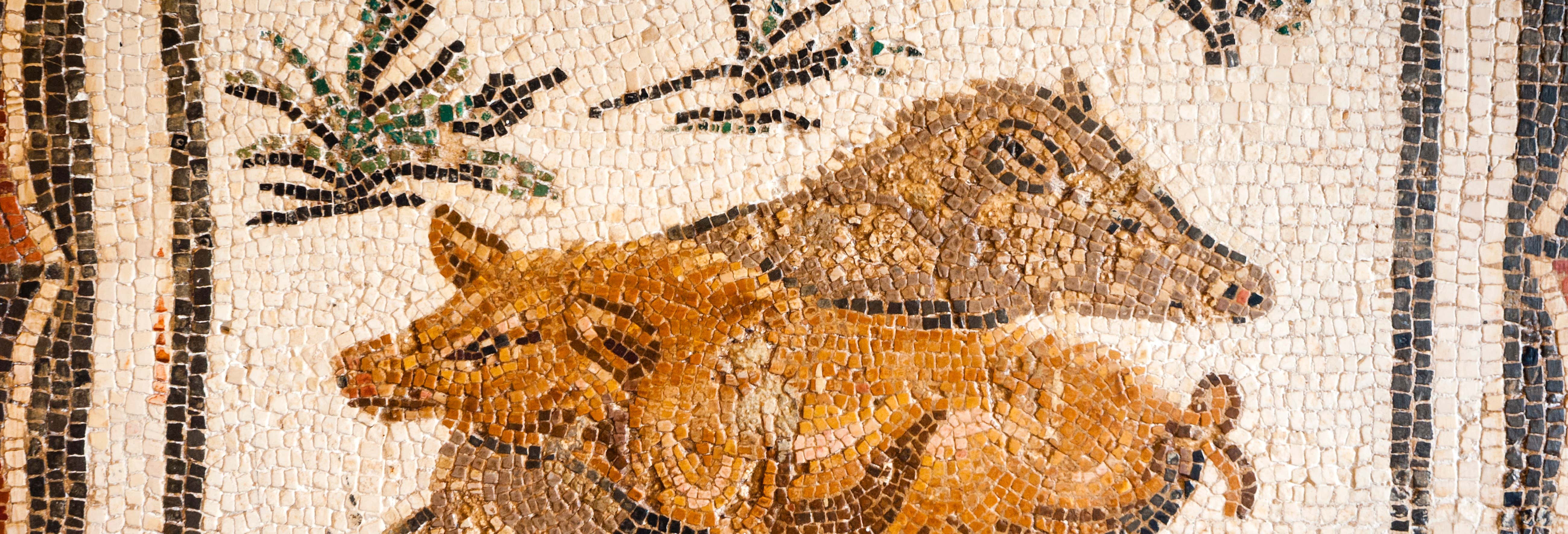 Tour por el Museo del Bardo y la Medina de Túnez