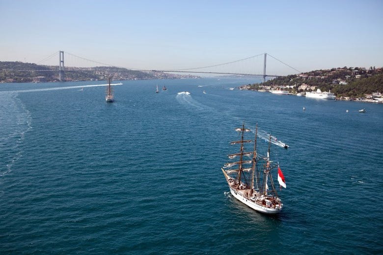 Cruise sailing down the Bosphorus