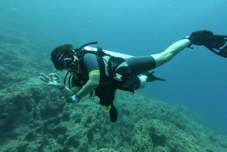 Scuba Diving Introduction in Kemer Book Online at