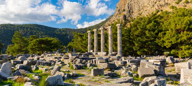 Excursão a Priene, Mileto e Didyma