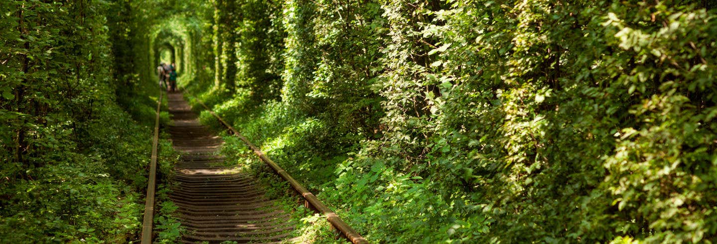 Excursão privada ao Túnel do Amor