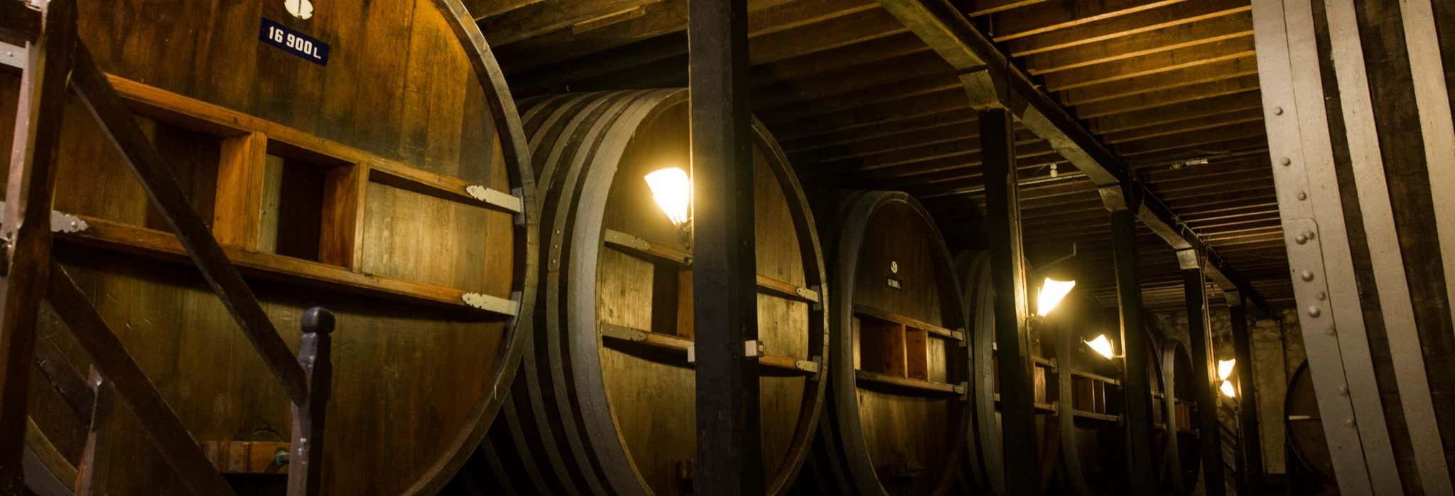 Visita a la bodega Viña Varela Zarranz
