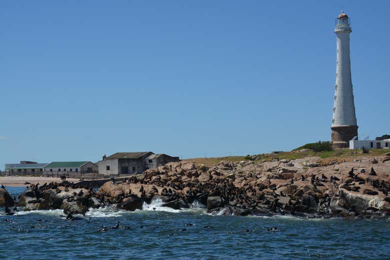 Excursão a Punta del Este saindo de Montevidéu