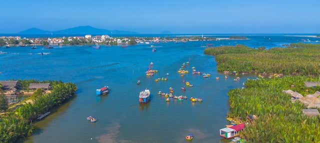 Excursão ao bosque de coqueiros de Bay Mau