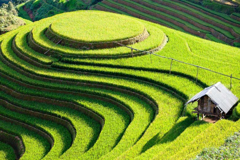 Hanoi To Sapa Two Day Trip By Bus Book Online At Civitatis Com