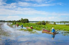 Excursión por el delta del Mekong en lancha rápida